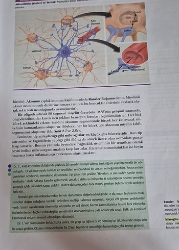 Fizyolojik Psikoloji - Neil R. Carlson - Görsel 9