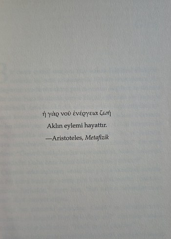 Bir Şizofrenin Yaşamı - Elyn R. Saks - Görsel 5