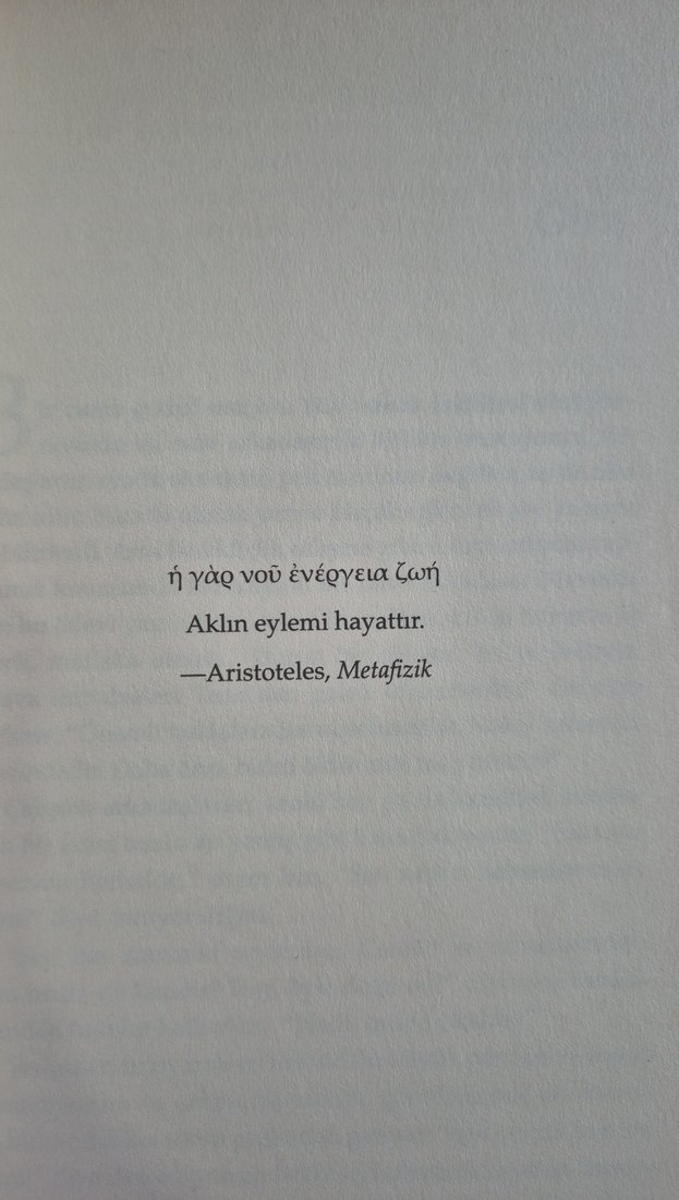 Bir Şizofrenin Yaşamı - Elyn R. Saks - Görsel 5