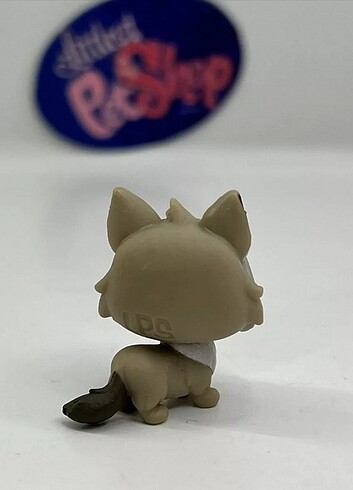  LPS MİNİŞ KEDİ 