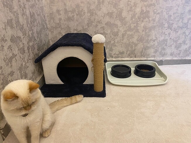 Kedi evi yatağı