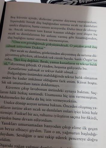  Beden Kibrit çöpü mezarlığı 