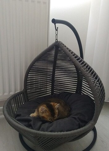 KEDİ SALINCAĞI KEDİ OYUNCAĞI 