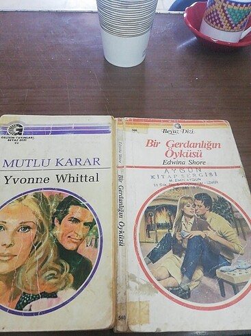 İkili roman