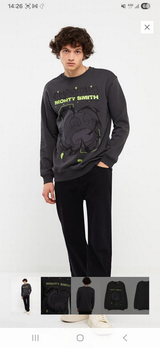 Gri Baskılı Erkek Sweatshirt - Görsel 3