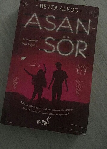 Beyza alkoc asansör 