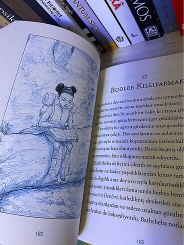 Bulut At Günlükleri / Büyü Muhafızları - Chris Riddell