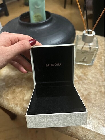 Pandora Pandora kutu