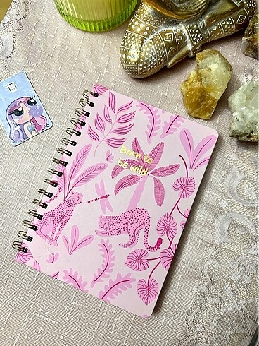 Kaplanlı defter