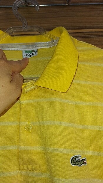Lacoste tsort 