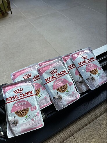 Royal canin kitten yavru yaş mama