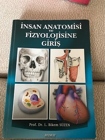 Anatomi kitabı