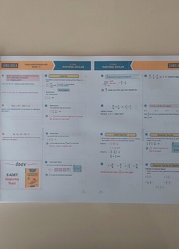 Şenol Hoca Alıştırmalarla Matematik 1
