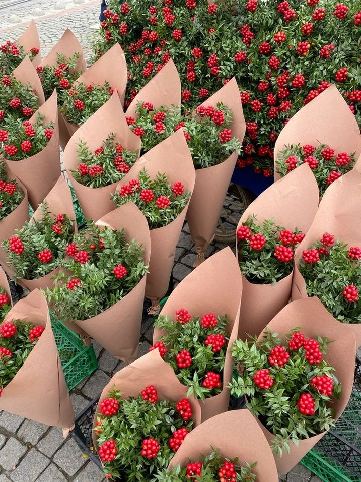 Parlak Kırmızı canlı kokina - Görsel 2