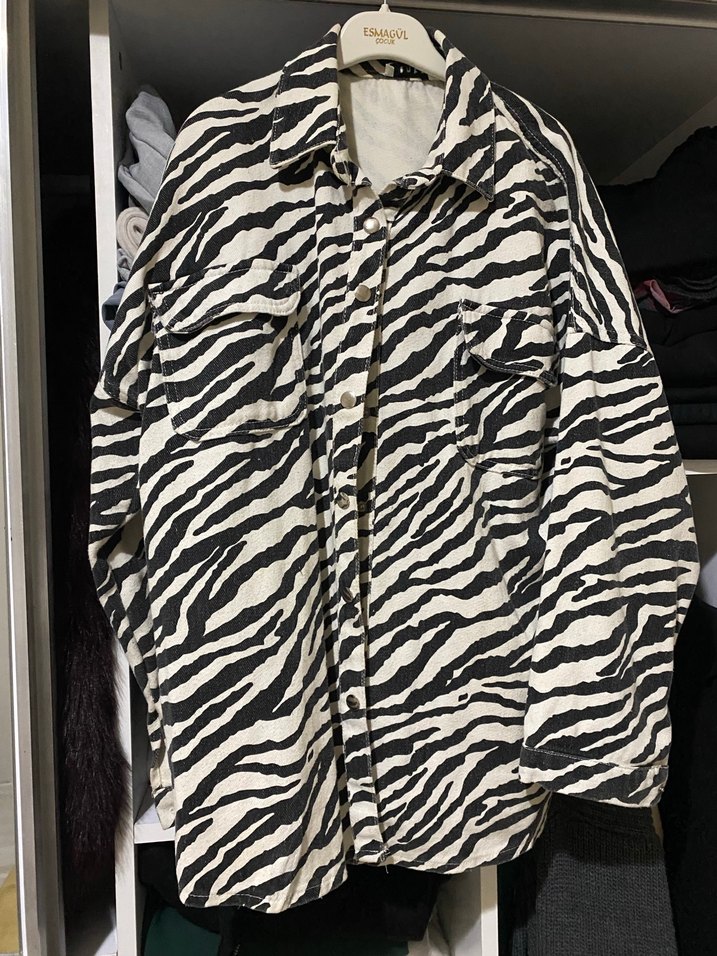 Zebra Desenli Kadın ceket - Görsel 2
