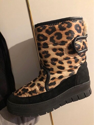 Leopar bot