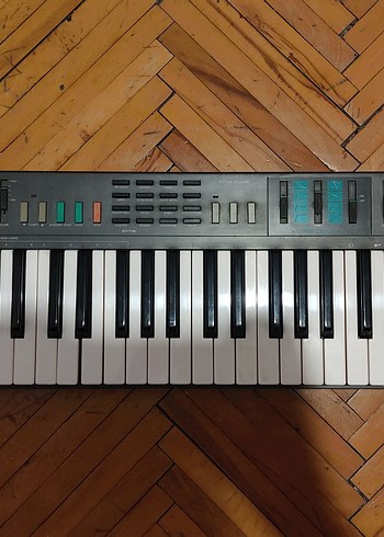 Ibanez Grg170dx Gitar,Roland Micro Cube Amfi ve Yamaha Org - Görsel 6