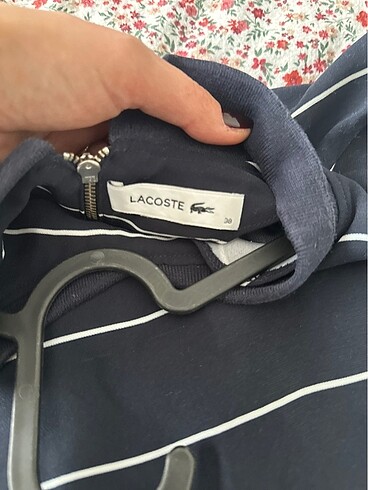Lacoste Lacoste Sweat