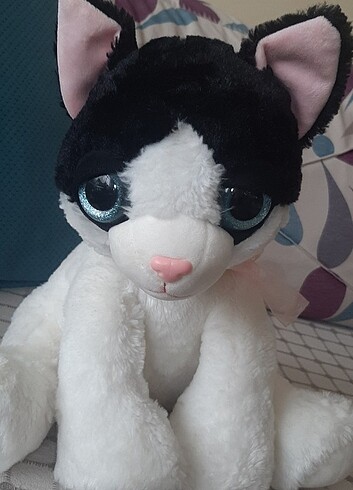 Pelluş kedi