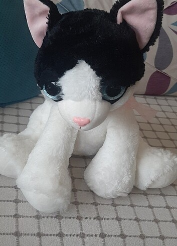  Beden Renk Pelluş kedi