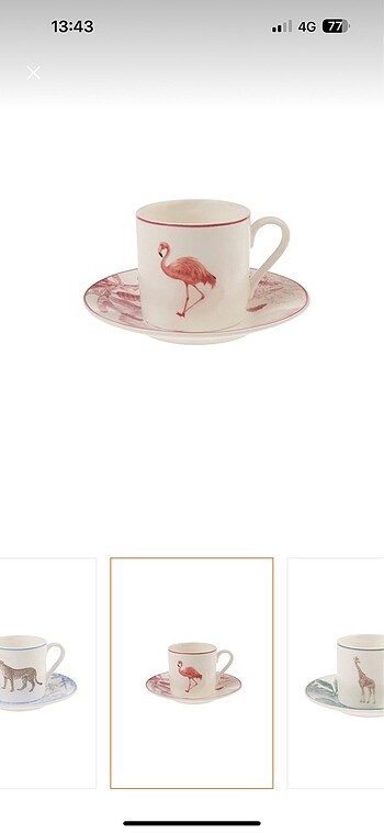 KARACA JUNGLE 6 KİŞİLİK FİNCAN TAKIMI - Görsel 5