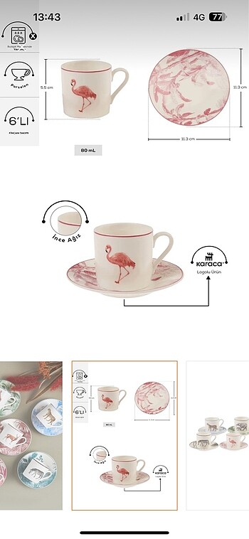 KARACA JUNGLE 6 KİŞİLİK FİNCAN TAKIMI - Görsel 3