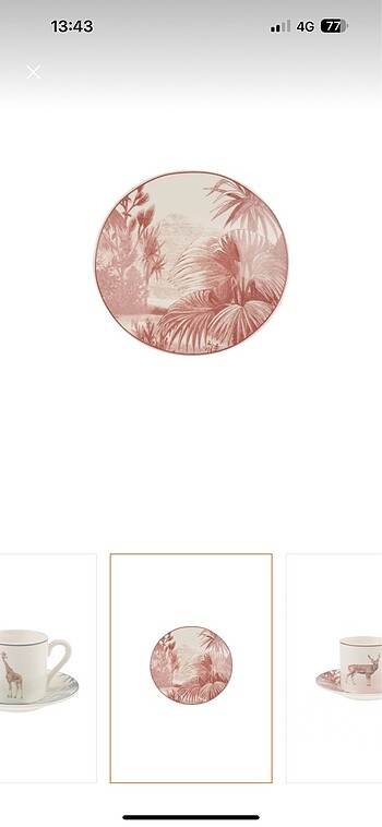 KARACA JUNGLE 6 KİŞİLİK FİNCAN TAKIMI - Görsel 8