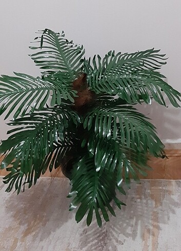 Yapay palmiye - Görsel 2