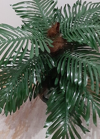 Yapay palmiye - Görsel 3