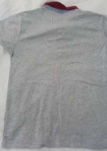 Erkek Gri ve yeşil Kısa Kollu Polo Tişörtikili alım 50tl - Görsel 3