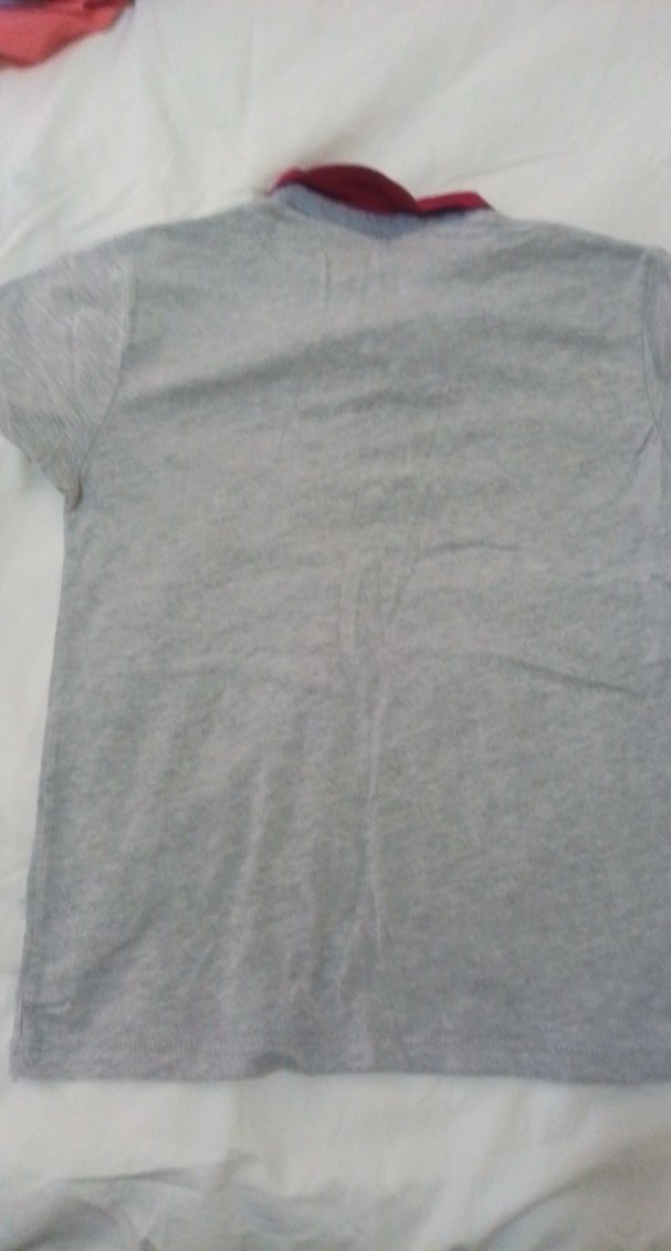 Erkek Gri ve yeşil Kısa Kollu Polo Tişörtikili alım 50tl - Görsel 3