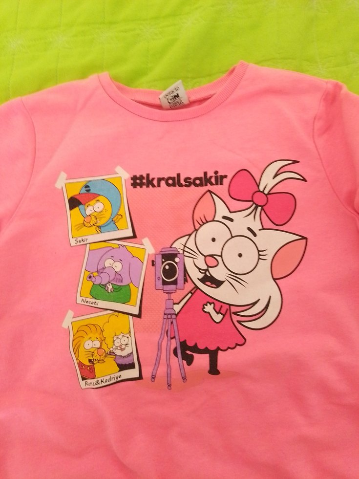 Kız Çocuk Pembe Uzun Kollu Baskılı Sweatshirt - Görsel 2