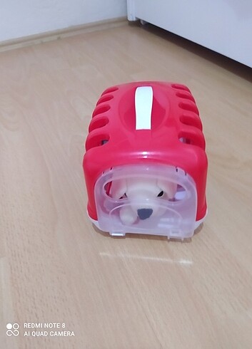Beden Renk Sevimli Köpek