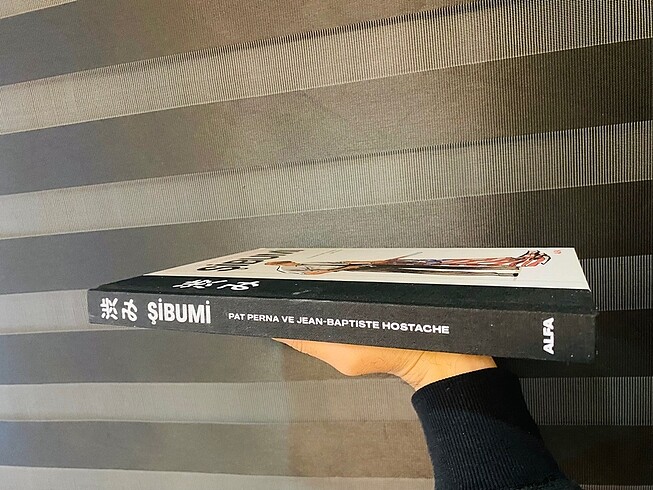 Şibumi sert kapak