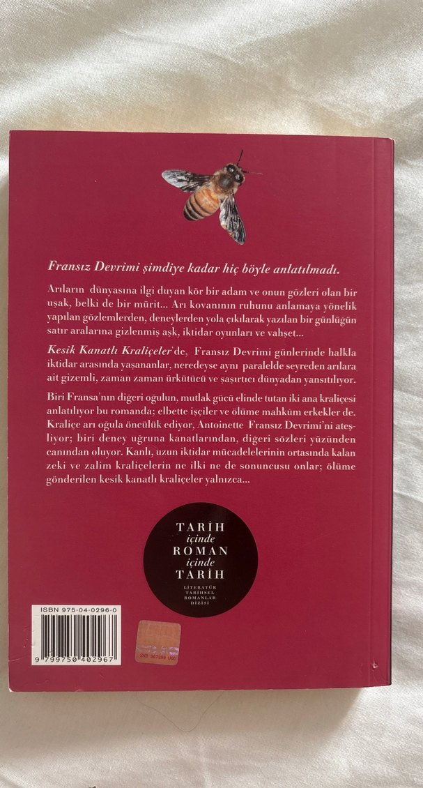 Kesik Kanatlı Kraliçeler - Sara George - Görsel 2