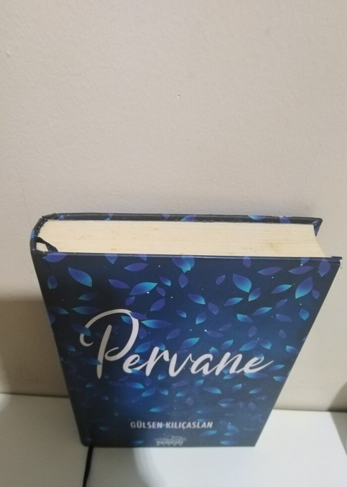 Pervane- Gülsen Kılıçaslan - Görsel 2