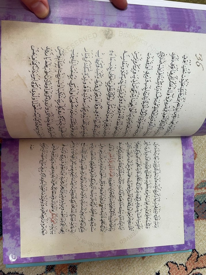 Dede Korkut Kitabı Orijinal Nüshalar - Görsel 4