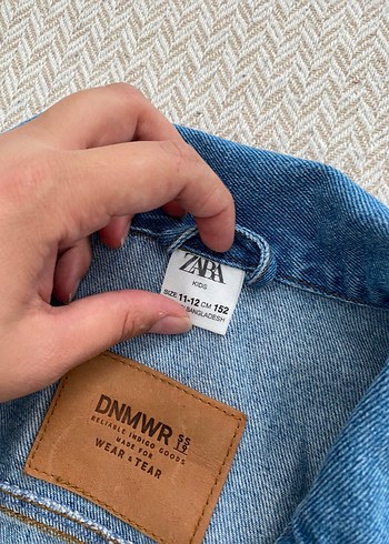 diğer Beden mavi Renk Kadın Mavi Denim Ceket, Düğmeli, Uzun Kollu