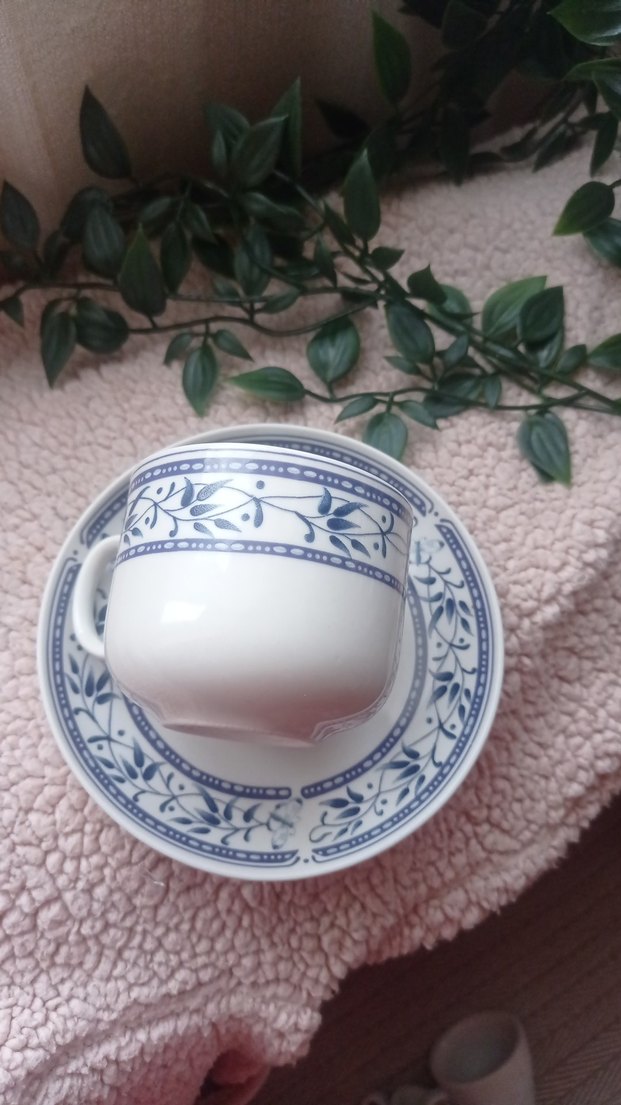 Pastel Mavi Desenli Porselen Fincan ve Tabağı - Görsel 2