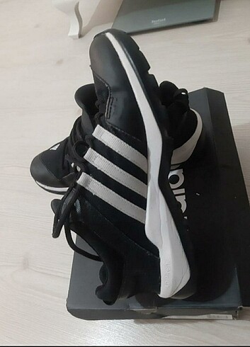 Adidas Daroga Plus Canvas