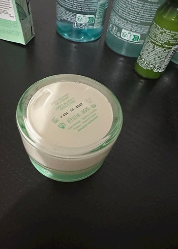 Yves Roches - Görsel 6