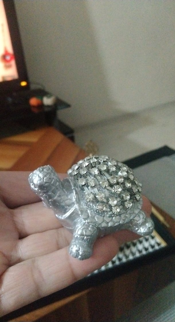 Gri Kaplumbağa Figürleri Seti - Görsel 4