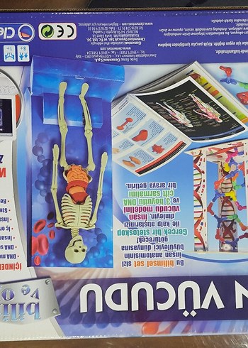 İnsan Vücudu Eğitim Oyuncağı
STETOSKOP YOKTUR. - Görsel 4