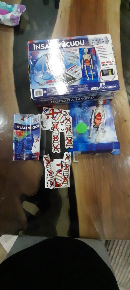 İnsan Vücudu Eğitim Oyuncağı 
STETOSKOP YOKTUR. - Görsel 5