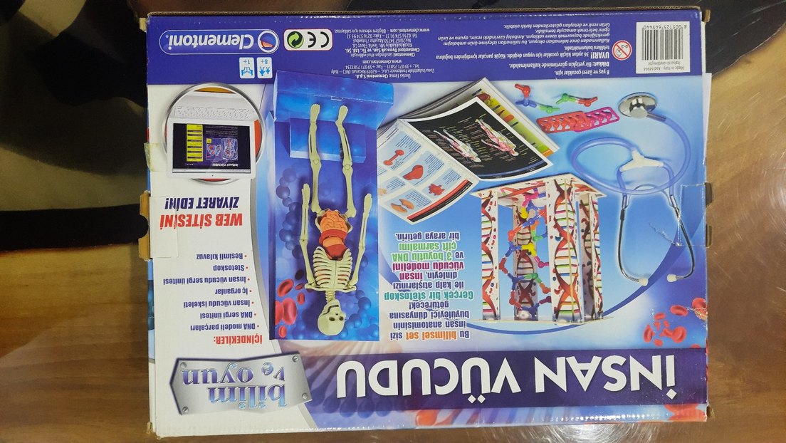 İnsan Vücudu Eğitim Oyuncağı 
STETOSKOP YOKTUR. - Görsel 4