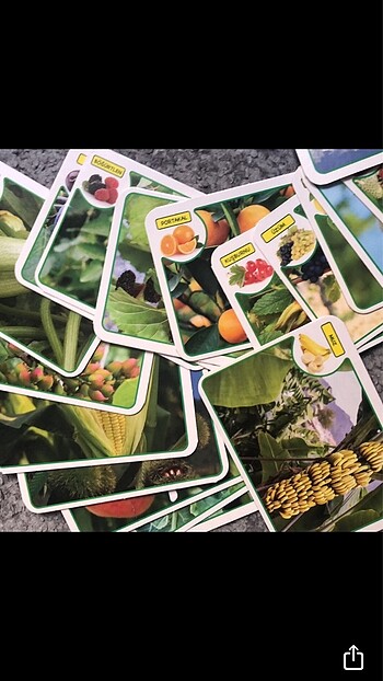  Beden Renk Meyve sebze eğitici kartlar