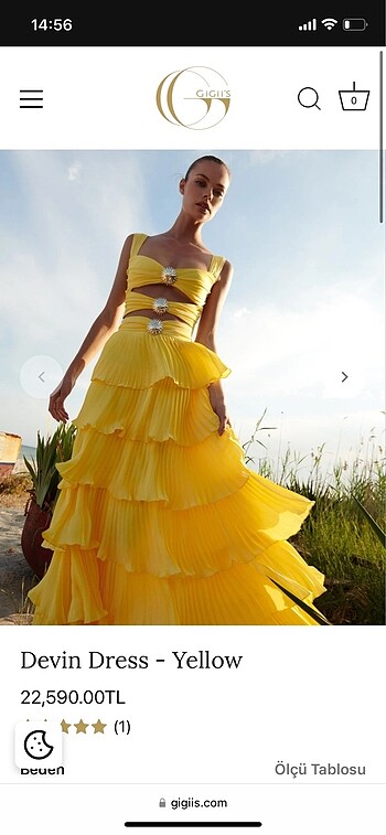 Devin dress gigis