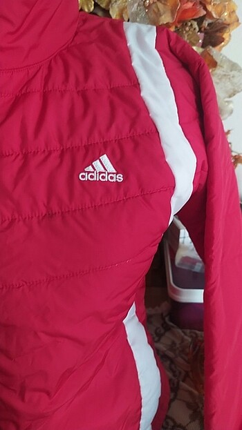 Adidas Selelct #hotiç#zara#mudo 