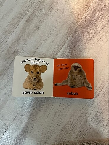 Pearson bebek dokun hisset kitap - Görsel 6