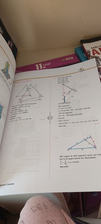  Beden Renk yks sayısal denemeler 